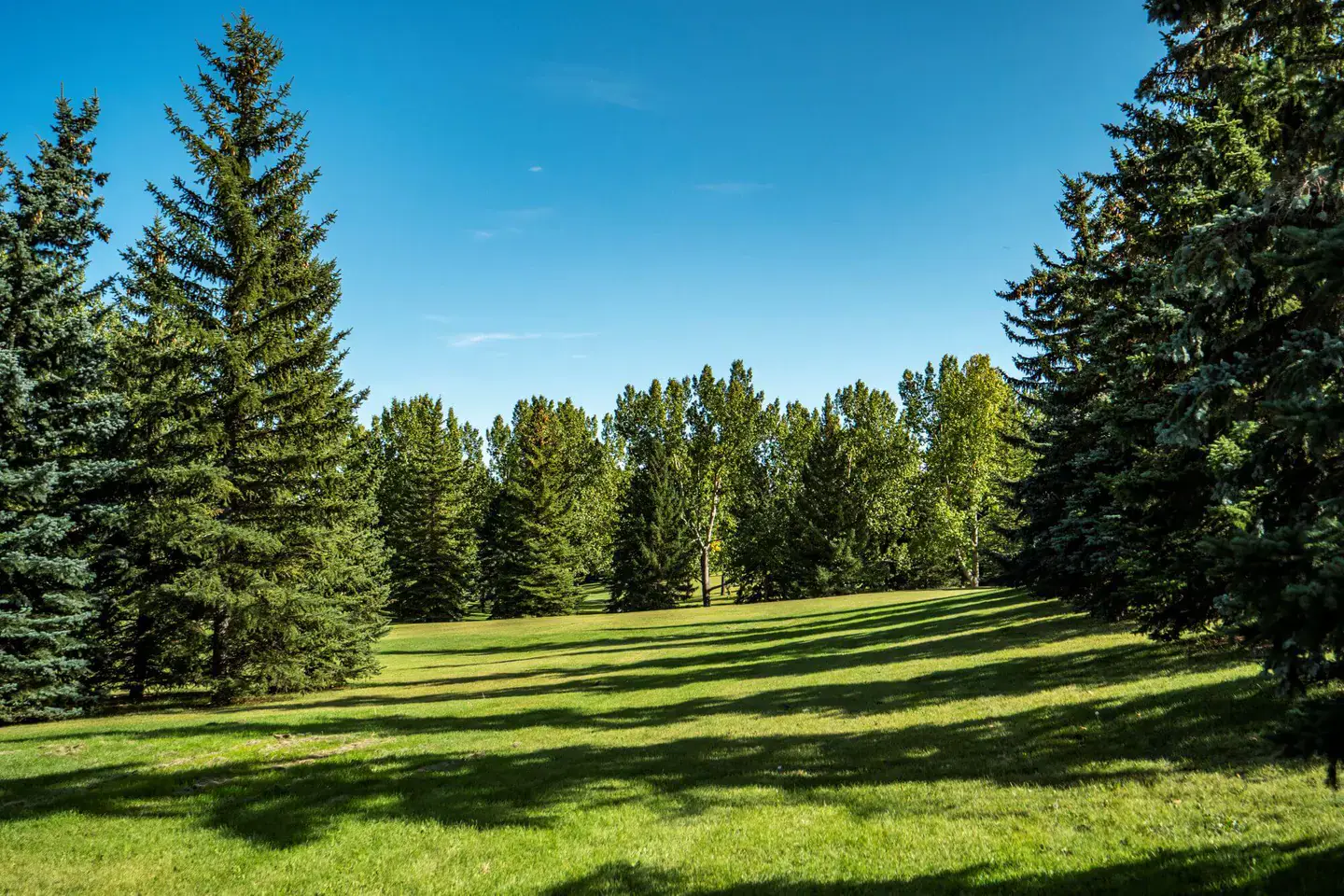 Shawnessy community in Calgary